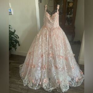Beautiful Dress in Blush Pink Color with Butterflies and Silver Accents